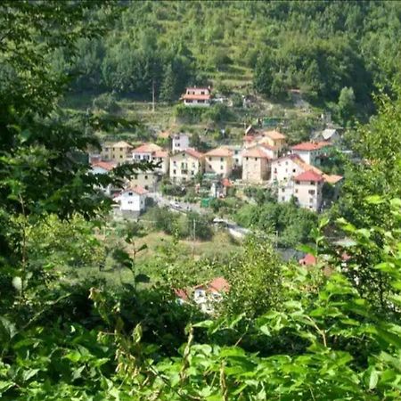 Il Non Ti Scordar Di Me Villa Valbravenna Exteriör bild