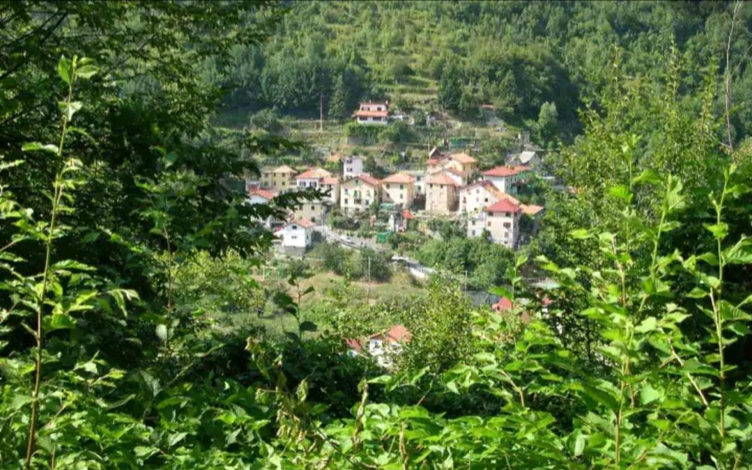 Il Non Ti Scordar Di Me Villa Valbravenna Exteriör bild