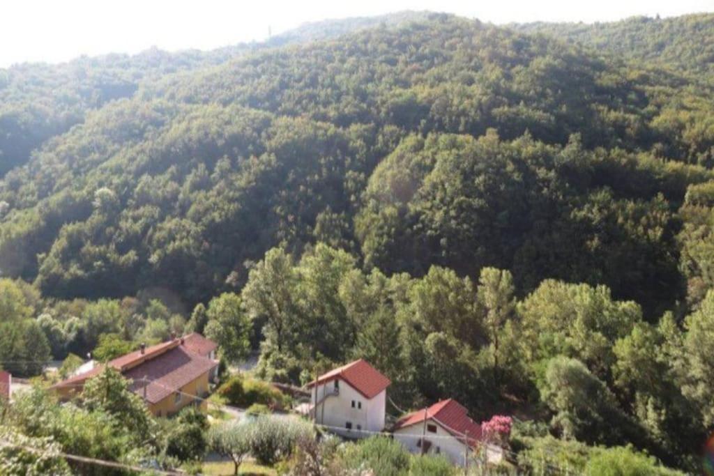Il Non Ti Scordar Di Me Villa Valbravenna Exteriör bild